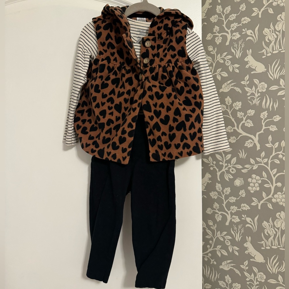 Carter’s 3-Piece Hooded Vest Set (24 Months)